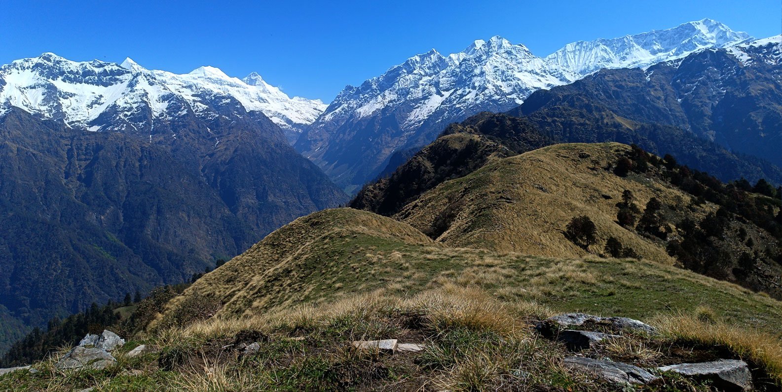 oak chalet mukteshwar dinning area homestay