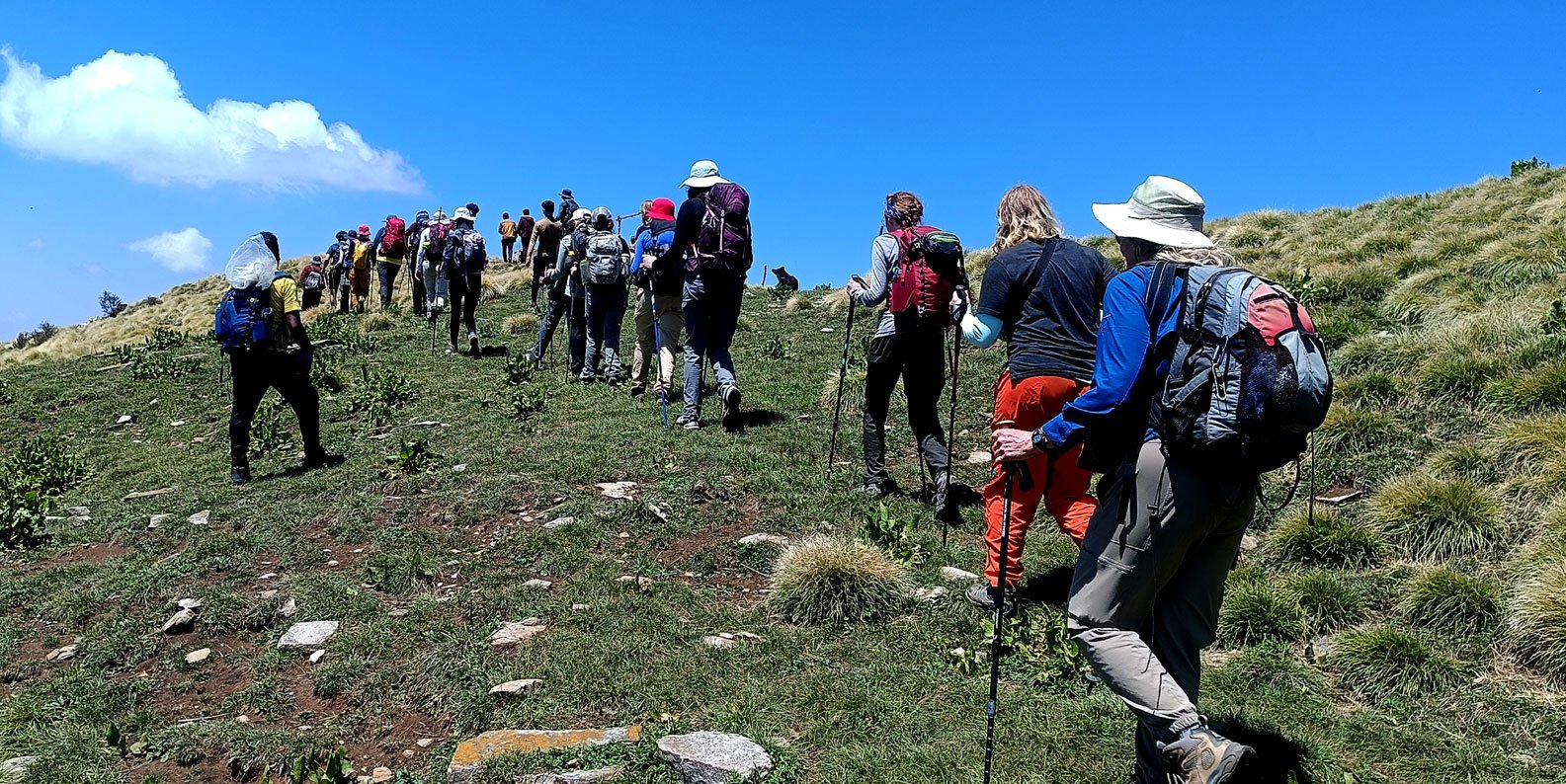 oak chalet bonfire area