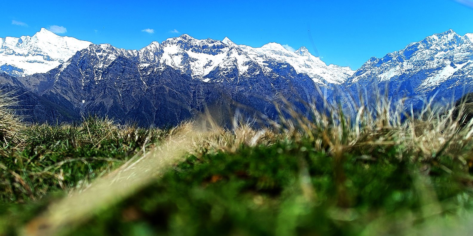 oak chalet bonfire area